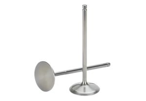 silve Engine Valves racha auto parts